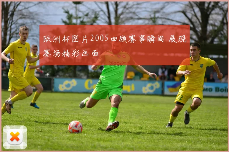 欧洲杯图片2005回顾赛事瞬间 展现赛场精彩画面