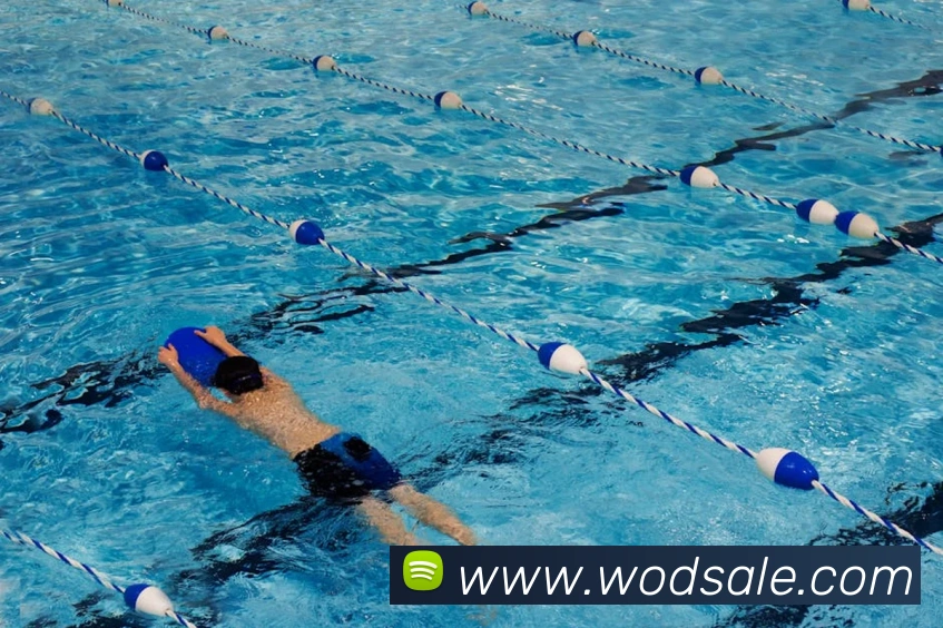 App Interface Preview