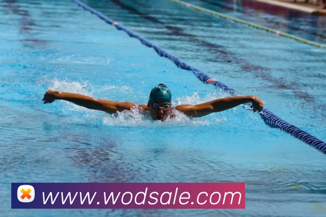 买球官方APP 封面图